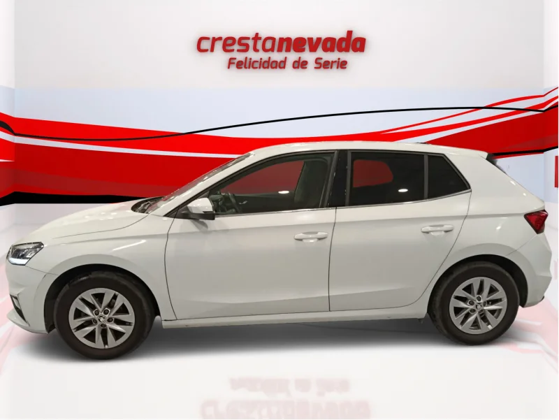 Imagen de Skoda Fabia