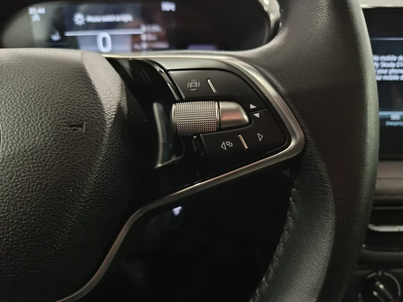 Imagen de Skoda Fabia