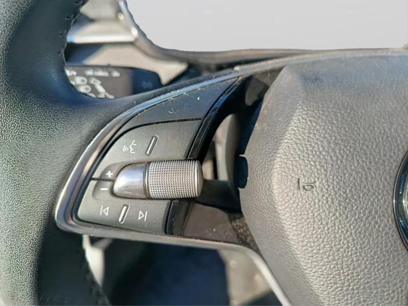 Imagen de Skoda Fabia