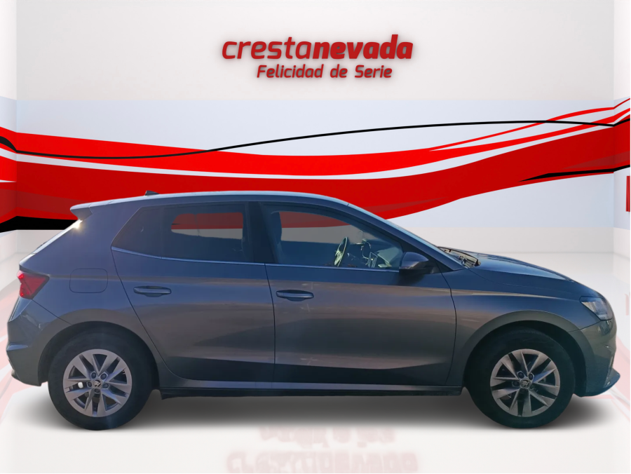 Imagen de Skoda Fabia