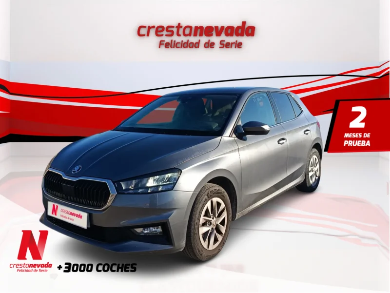 Imagen de Skoda Fabia
