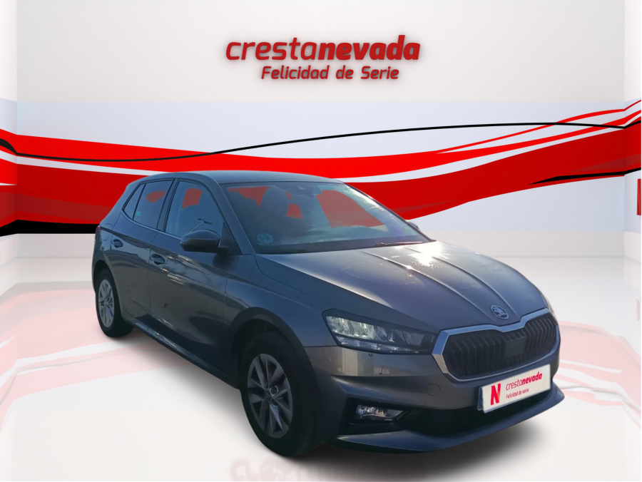 Imagen de Skoda Fabia