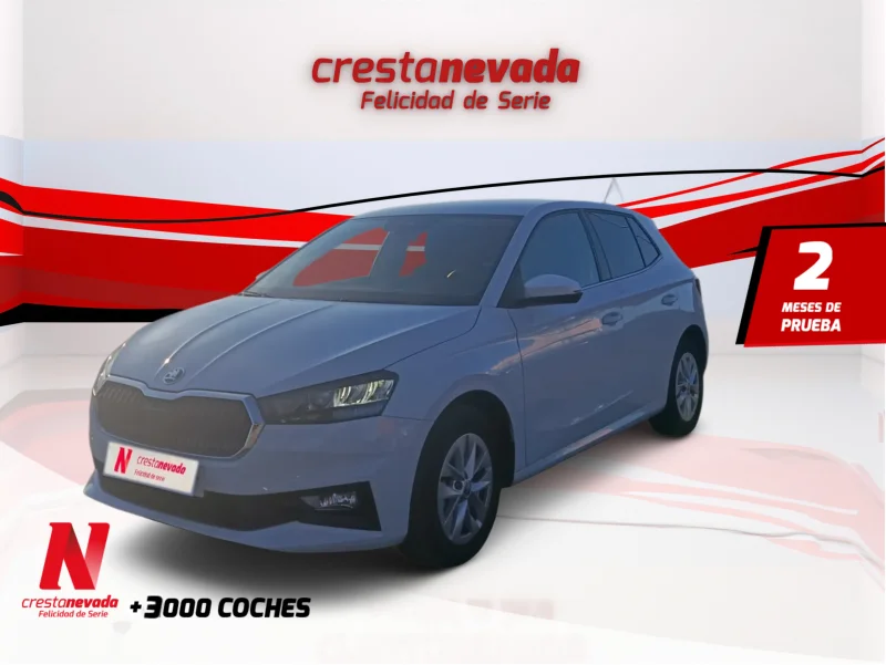 Imagen de Skoda Fabia