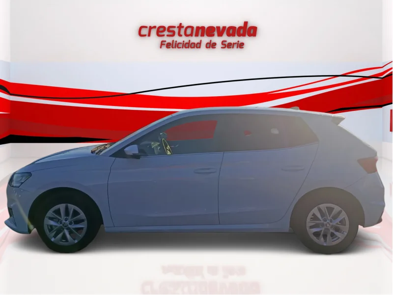 Imagen de Skoda Fabia