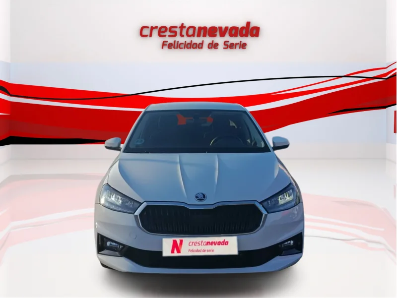 Imagen de Skoda Fabia