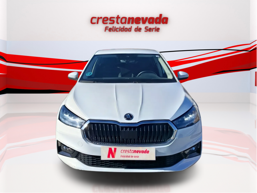 Imagen de Skoda Fabia