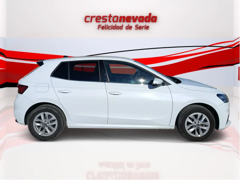 Imagen de Skoda Fabia