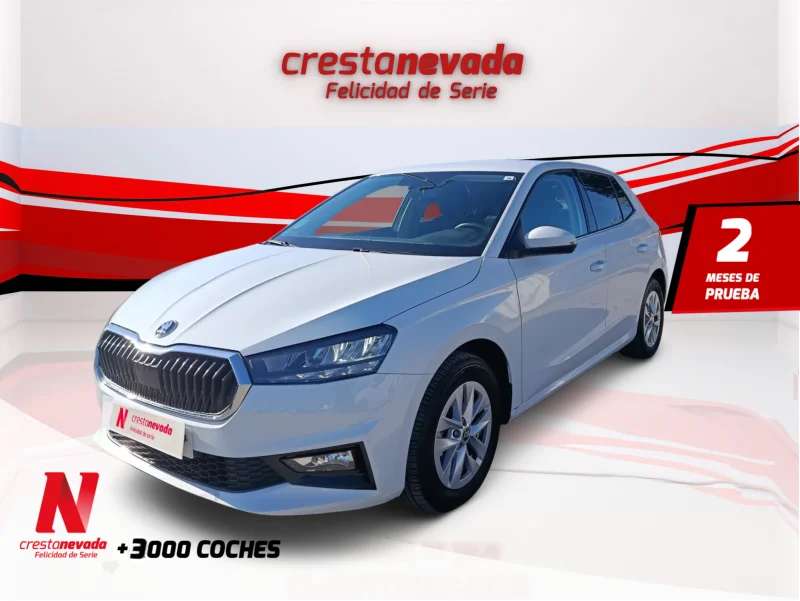 Imagen de Skoda Fabia