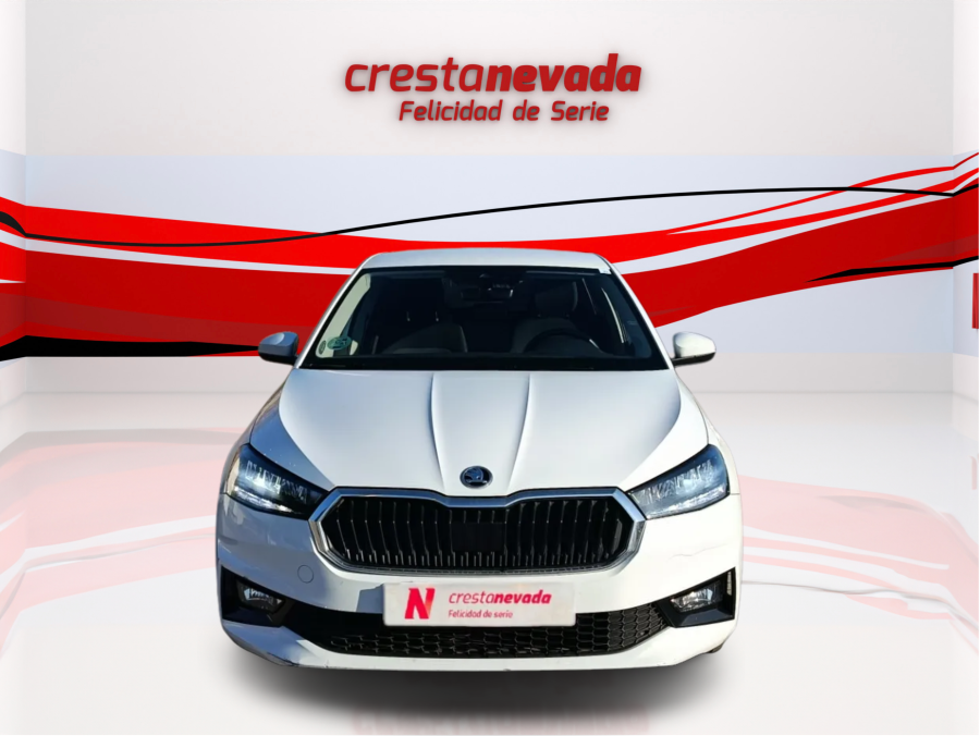 Imagen de Skoda Fabia