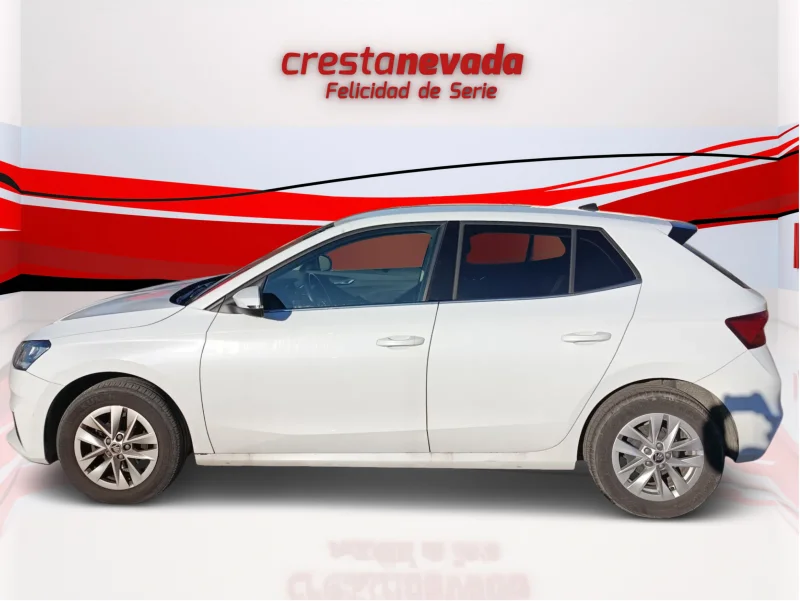 Imagen de Skoda Fabia