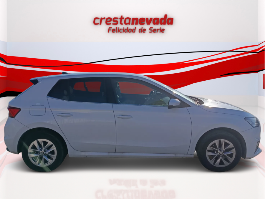 Imagen de Skoda Fabia