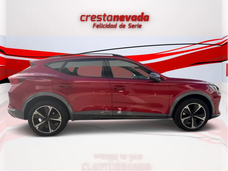 Imagen de cupra Formentor