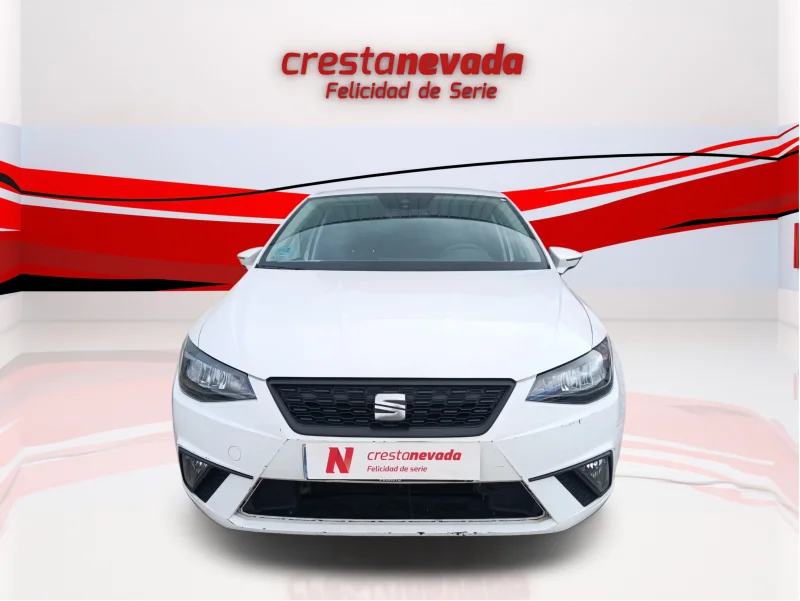 Imagen de SEAT Ibiza