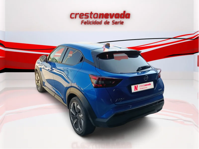 Imagen de NISSAN JUKE