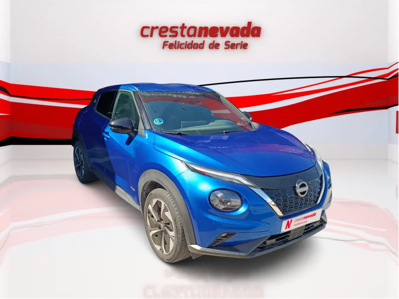Imagen de NISSAN JUKE