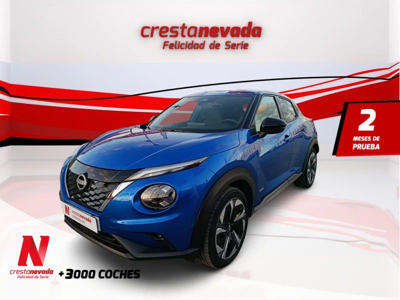 Imagen de NISSAN JUKE
