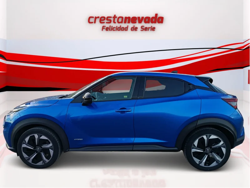 Imagen de NISSAN JUKE
