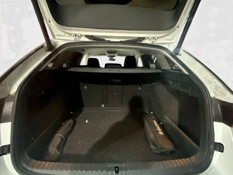 Imagen de Skoda Octavia