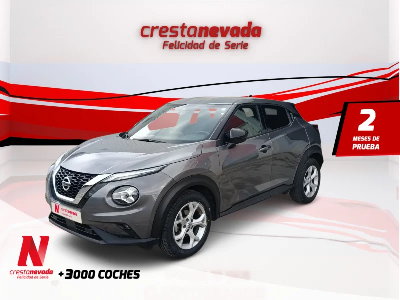 Imagen de NISSAN JUKE