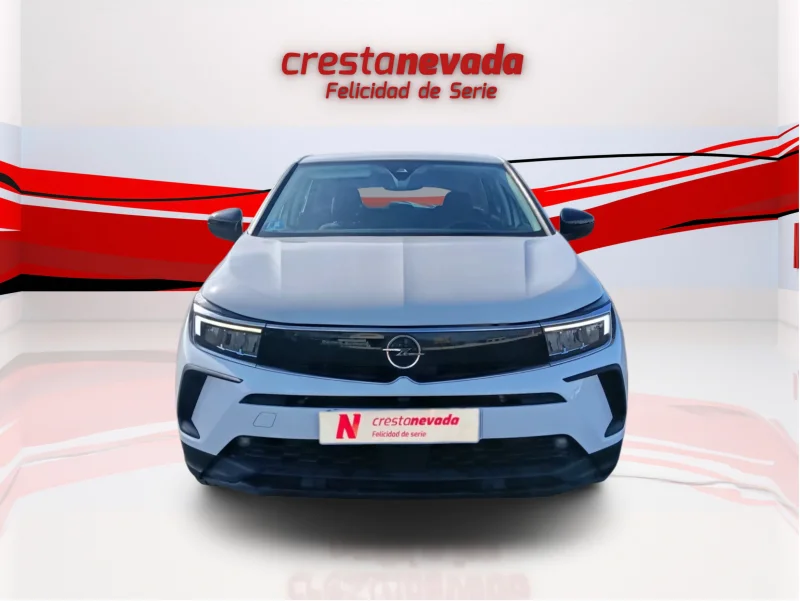 Imagen de Opel Grandland