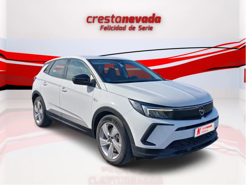 Imagen de Opel Grandland