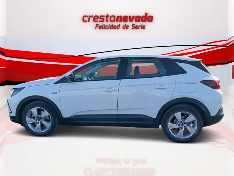 Imagen de Opel Grandland