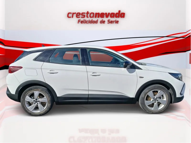 Imagen de Opel Grandland