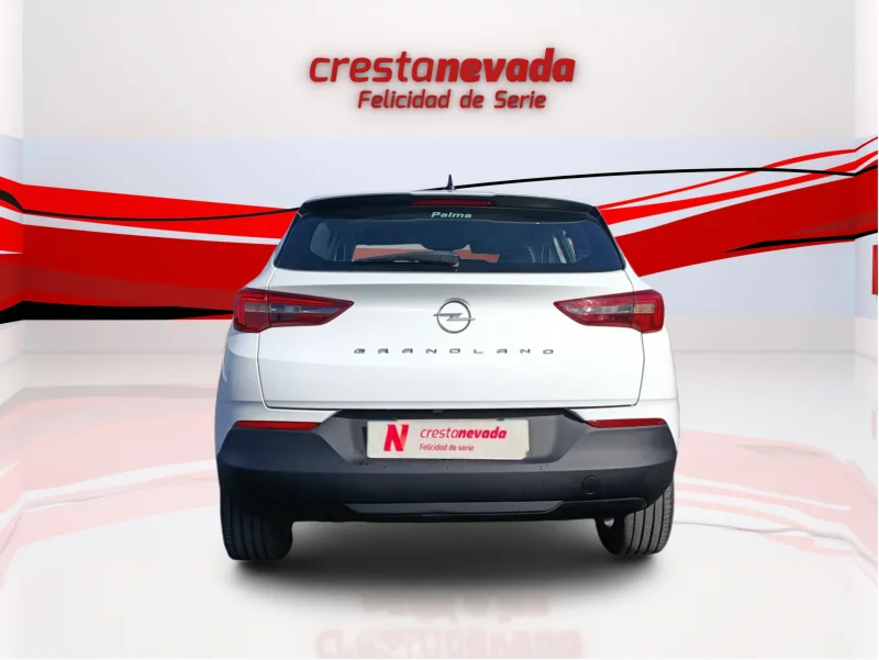Imagen de Opel Grandland