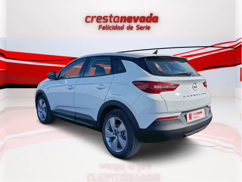 Imagen de Opel Grandland