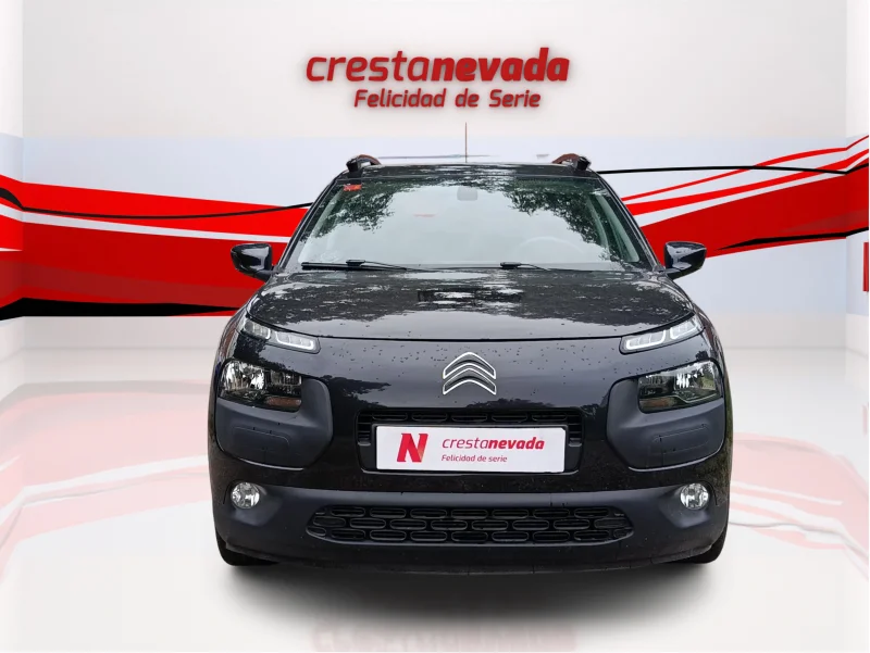 Imagen de CITROEN C4 Cactus
