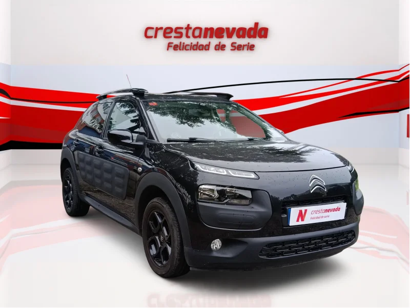 Imagen de CITROEN C4 Cactus