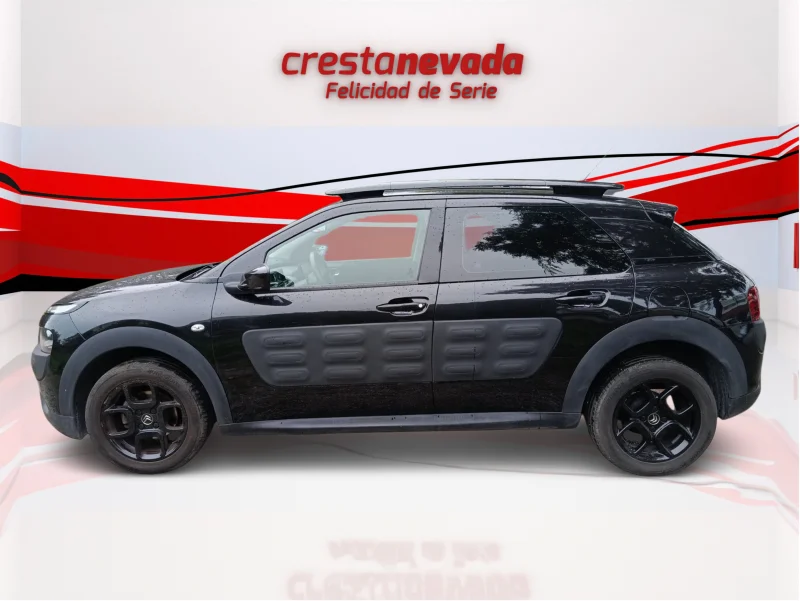 Imagen de CITROEN C4 Cactus