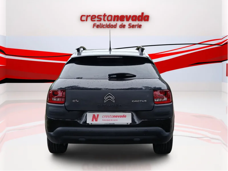 Imagen de CITROEN C4 Cactus