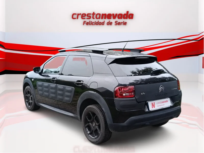 Imagen de CITROEN C4 Cactus