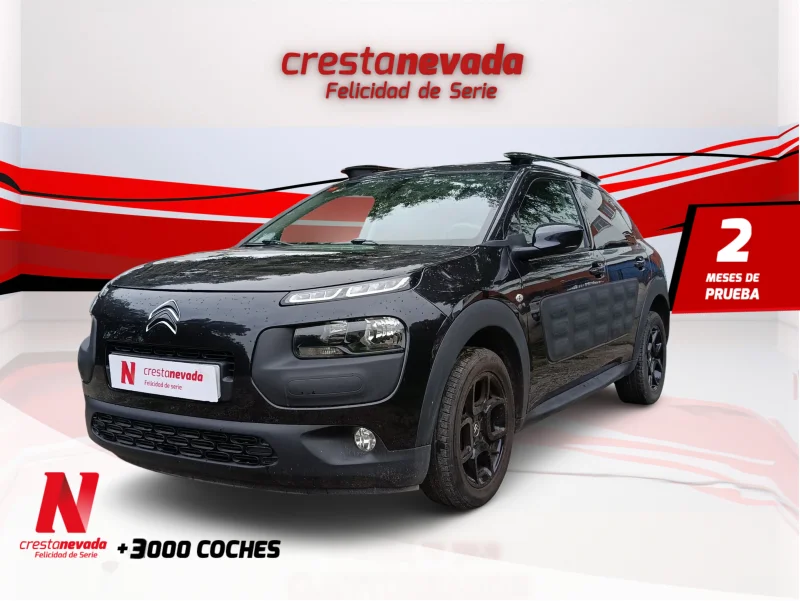 Imagen de CITROEN C4 Cactus