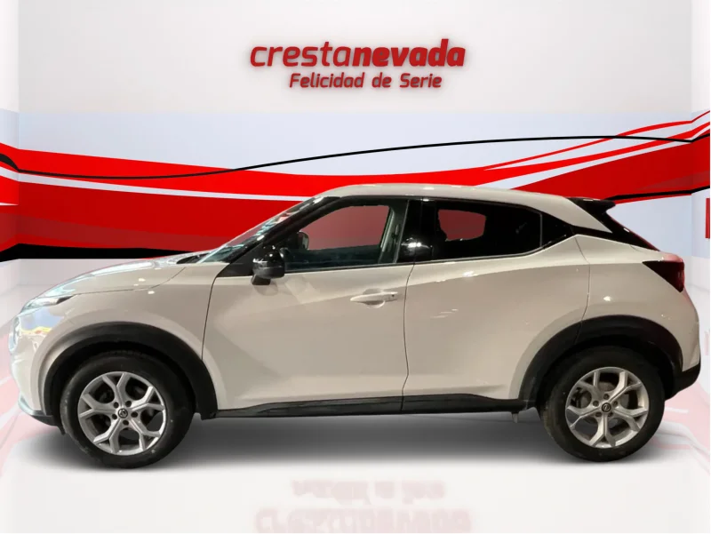 Imagen de NISSAN JUKE