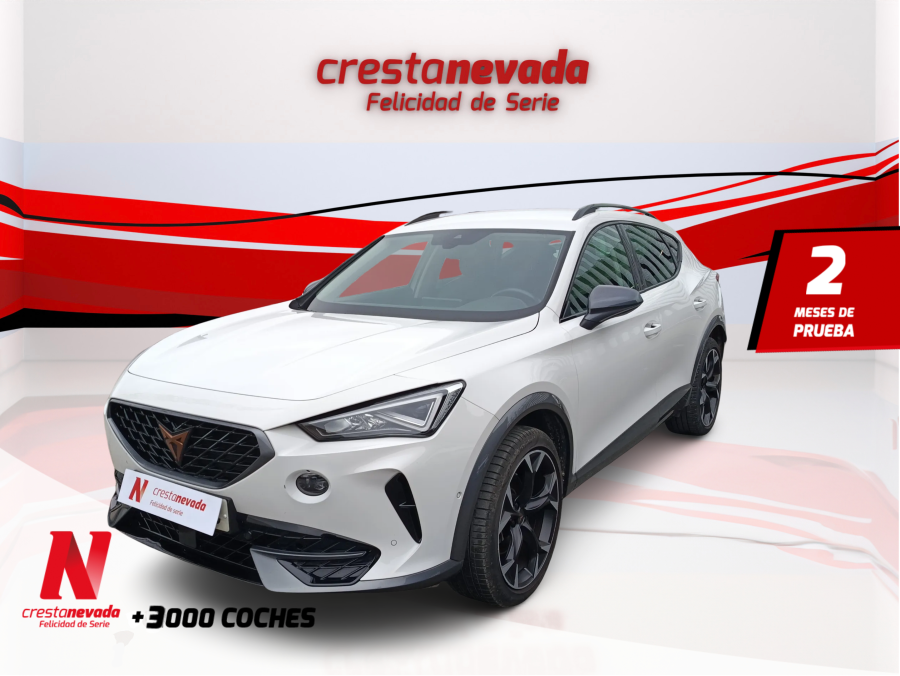 Imagen de cupra Formentor
