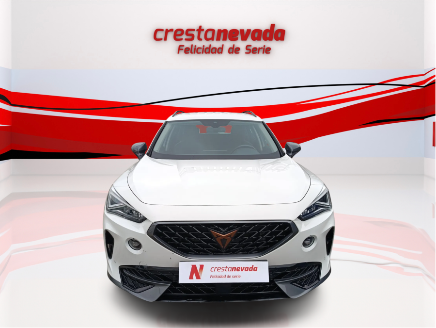 Imagen de cupra Formentor