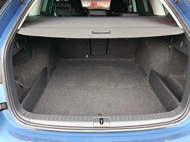 Imagen de Skoda Octavia