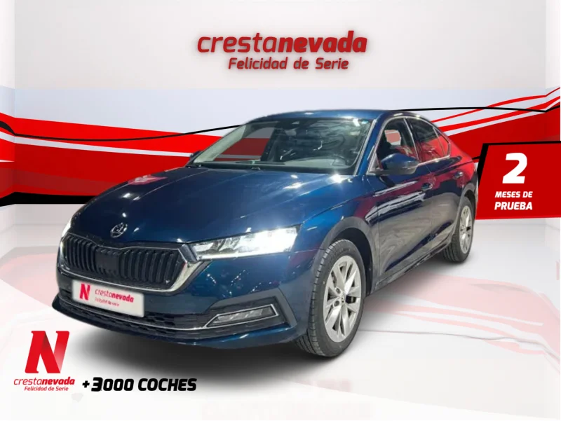 Imagen de Skoda Octavia