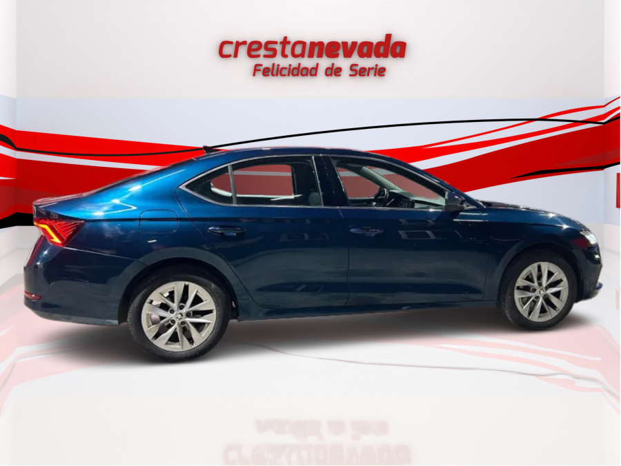 Imagen de Skoda Octavia