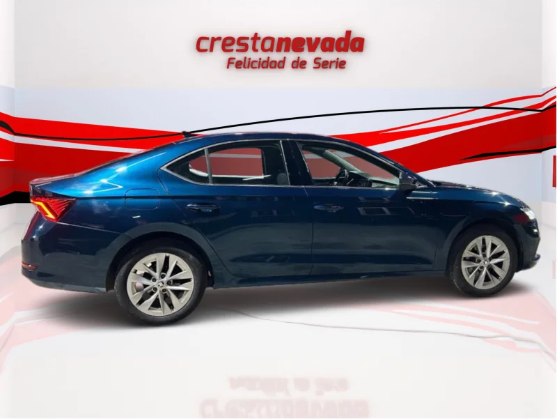 Imagen de Skoda Octavia