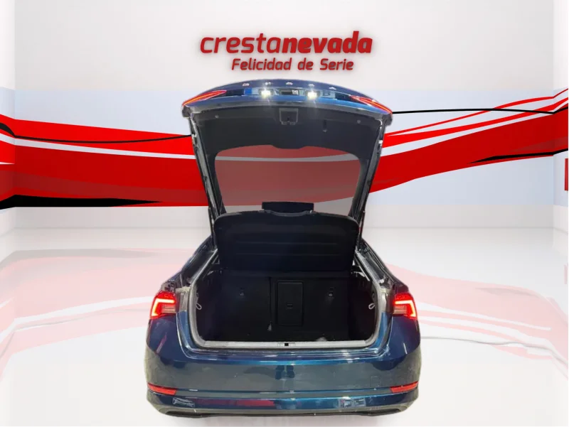 Imagen de Skoda Octavia