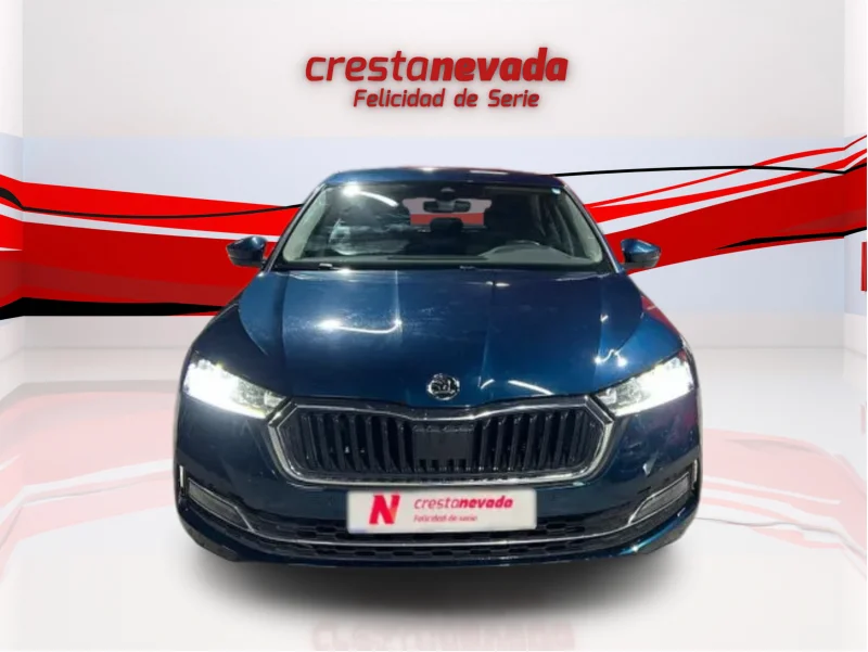 Imagen de Skoda Octavia