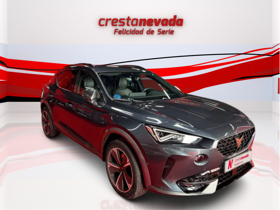 Imagen de cupra Formentor