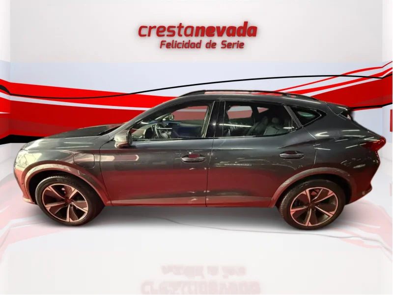 Imagen de cupra Formentor