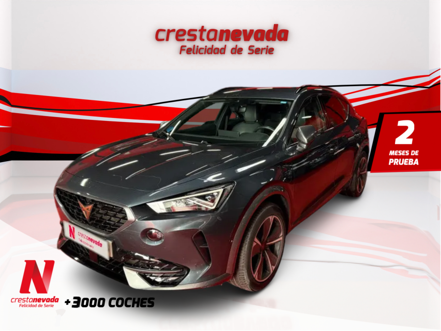 Imagen de cupra Formentor