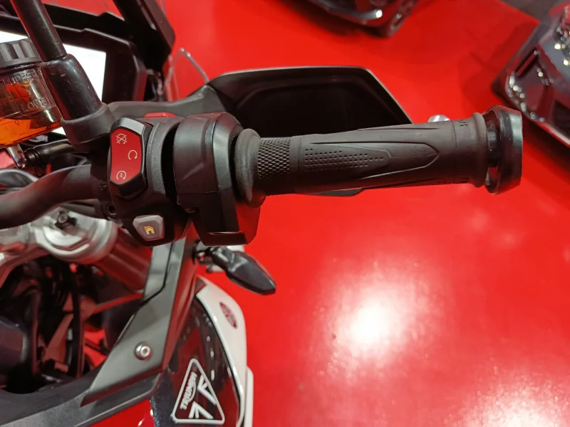 Imagen de Triumph Tiger 900 GT