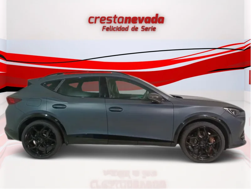 Imagen de cupra Formentor