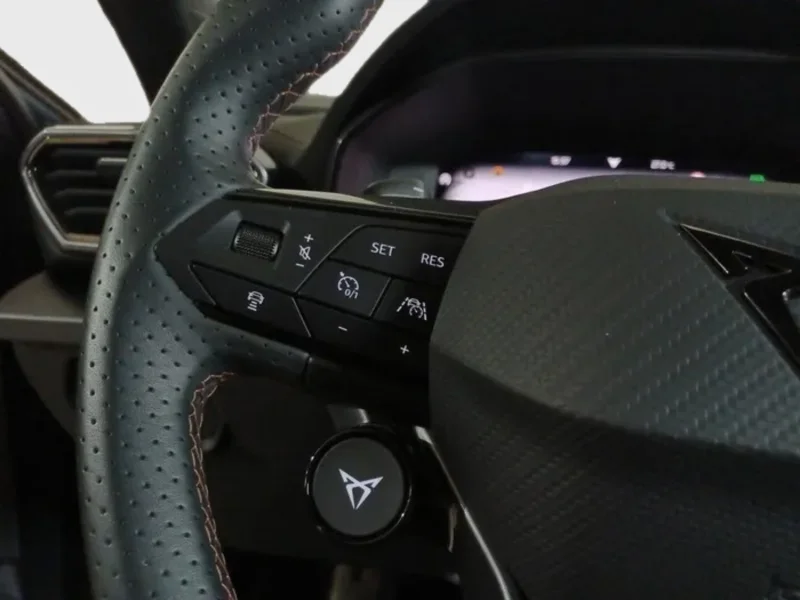 Imagen de cupra Formentor